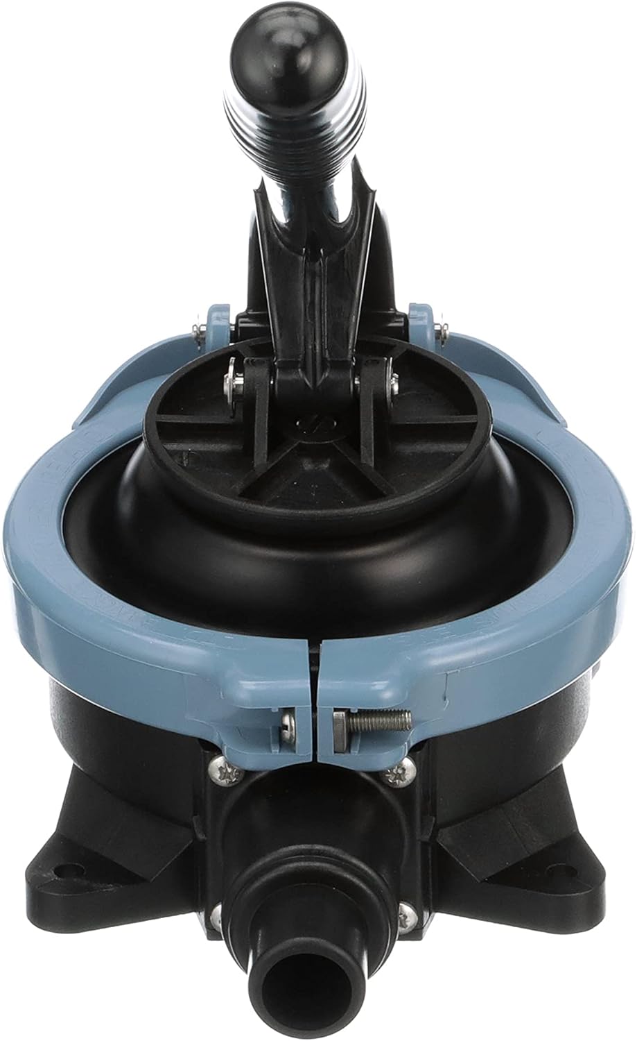 Whale Nuevo 2024 - Pump Gusher Urchin Std Neo - immagine 4