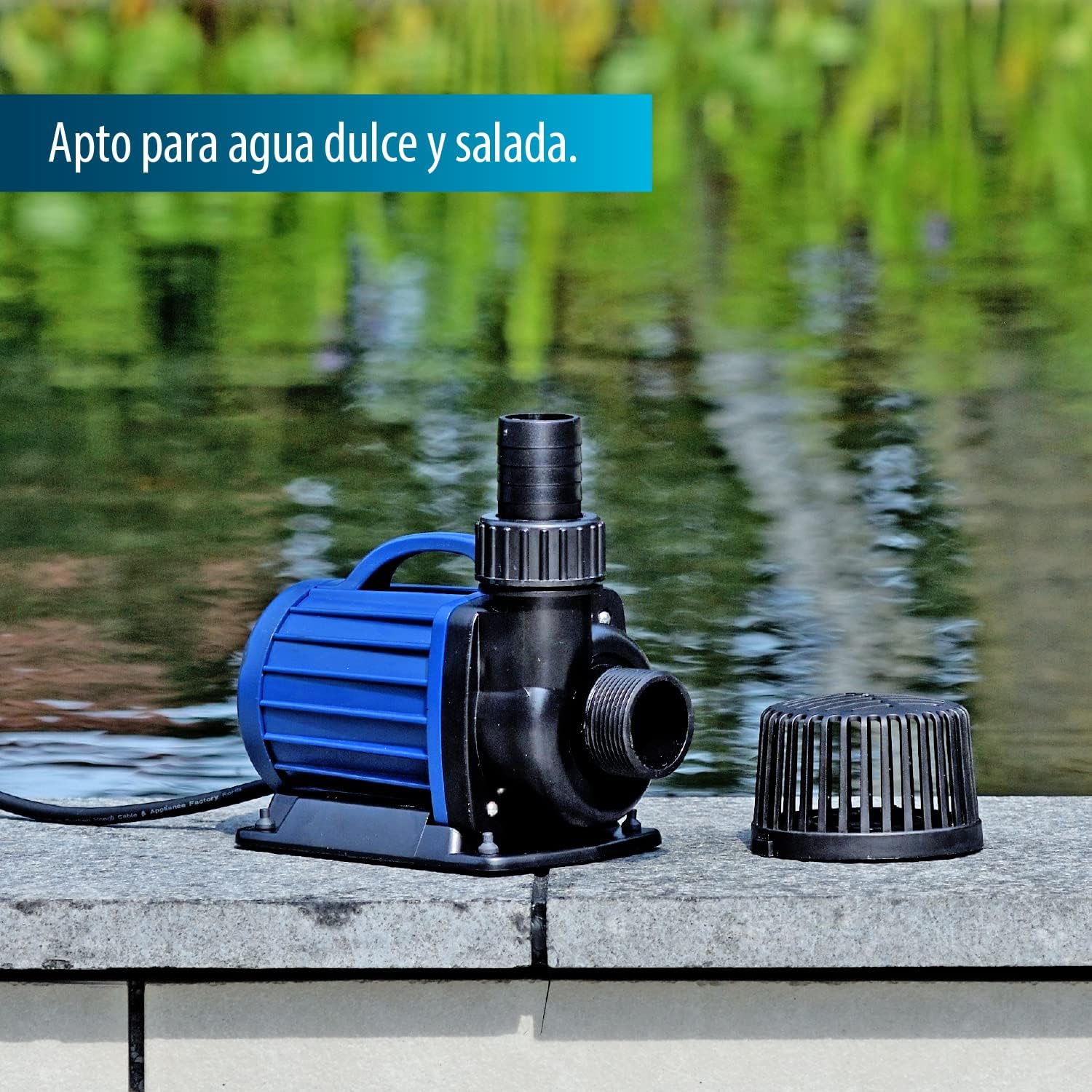 Acquaforte di stagno/Filtro Pompa DM 3500 - immagine 2