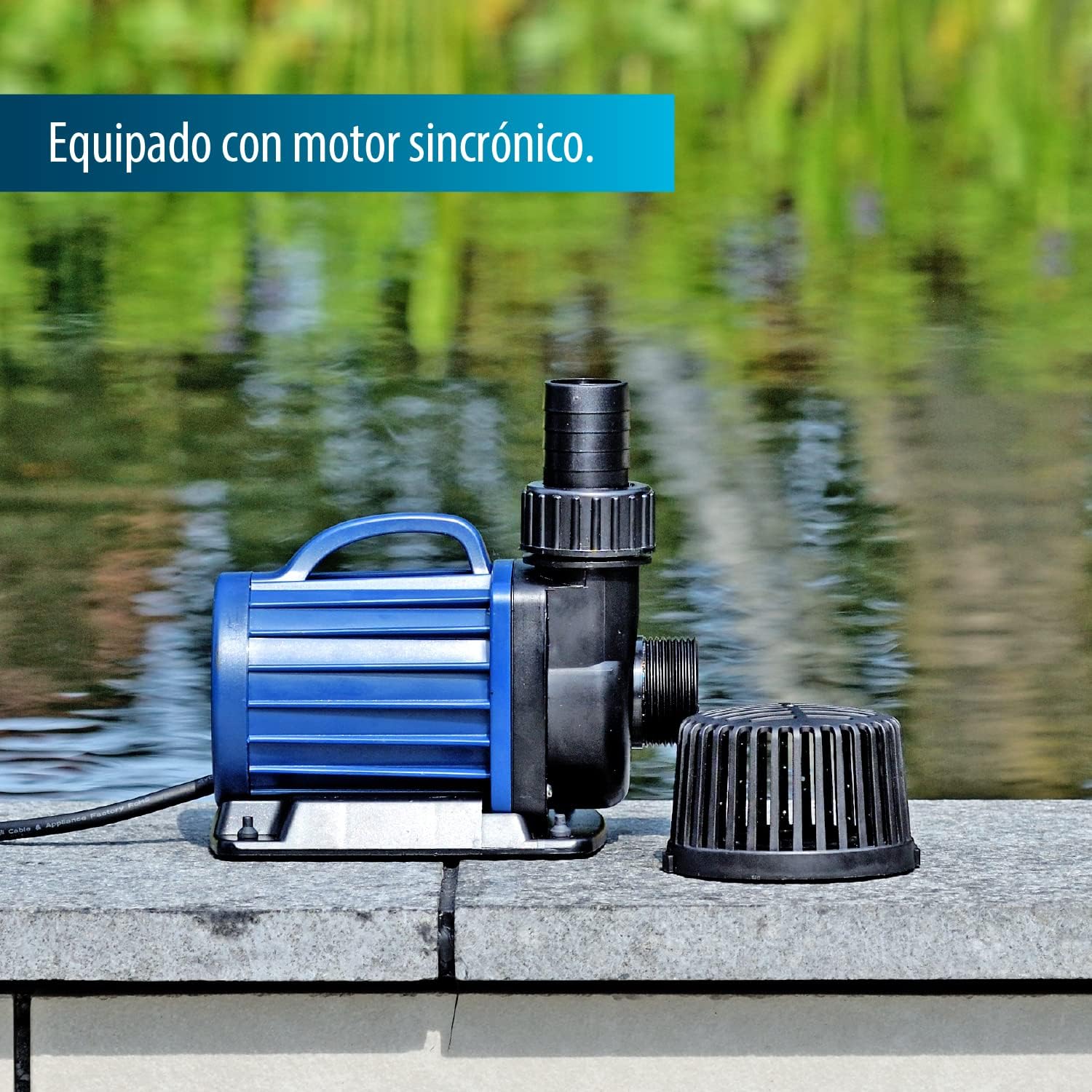 Acquaforte di stagno/Filtro Pompa DM 3500 - immagine 3