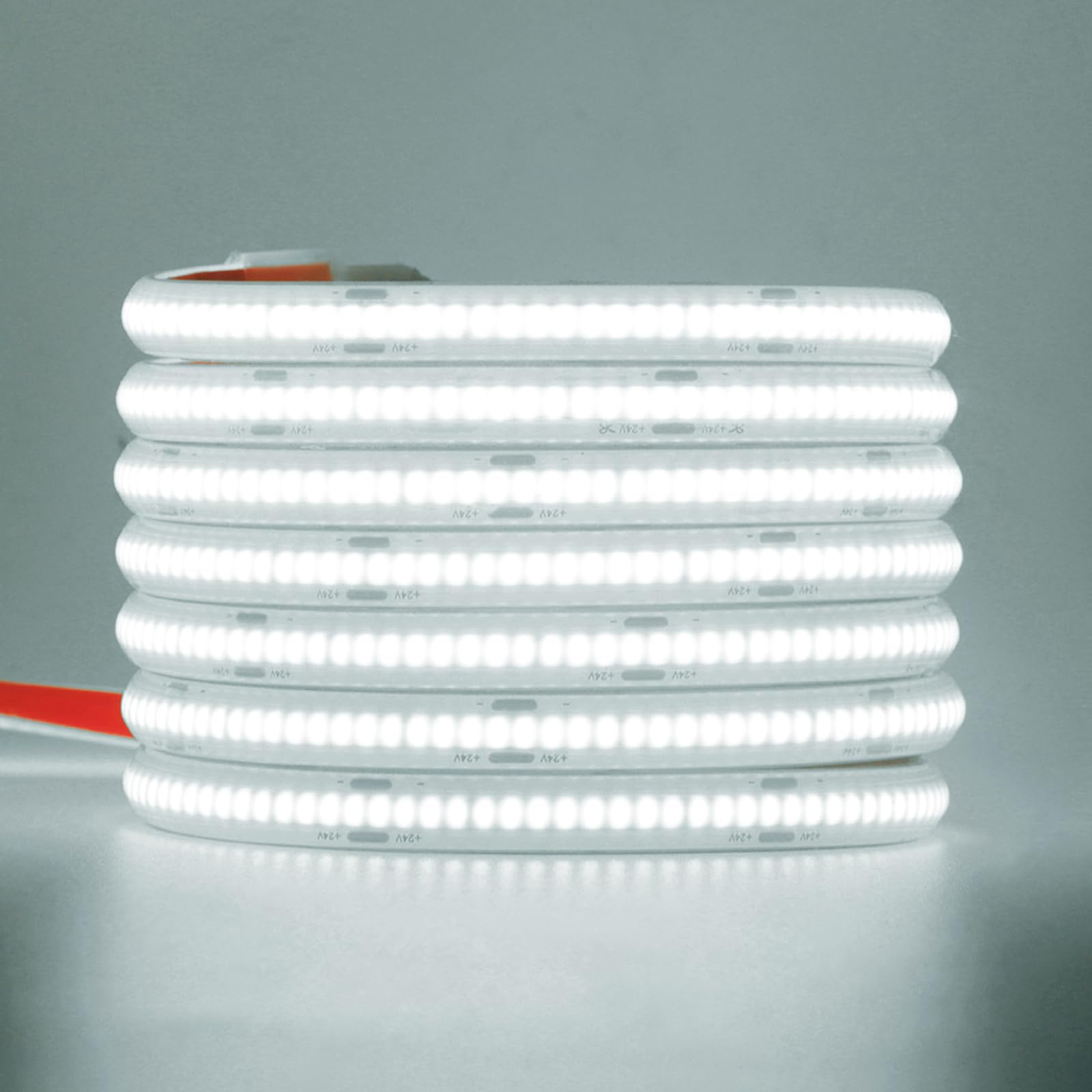 Wisada Striscia LED COB 24V 320 LEDs/m, 10M