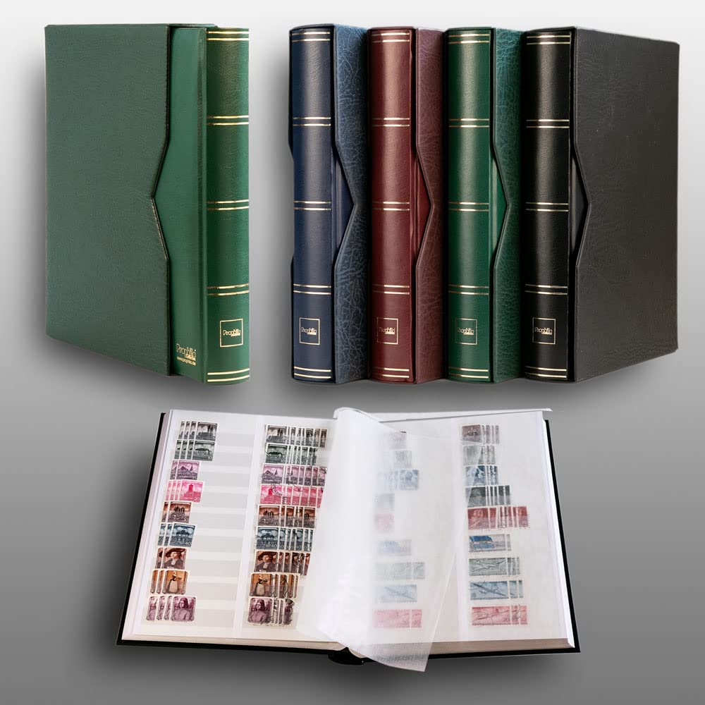 Prophila classificatori 60 Pagina Bianco DIVIDIDA con Cofanetto Verde