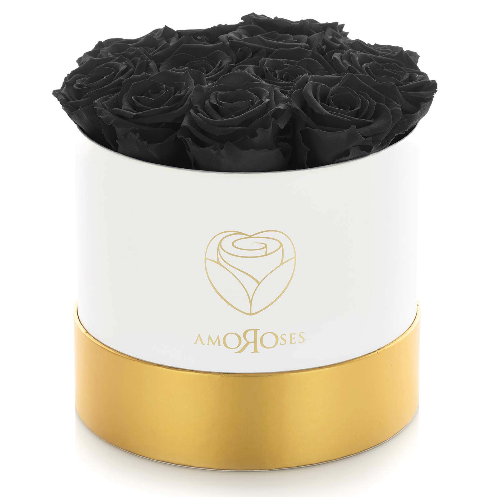 Amoroses LIMITED EDITION - 12 Rose Stabilizzate Eterne