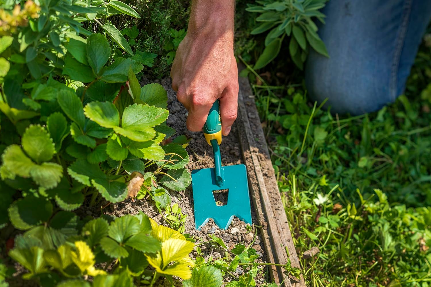 Binette tridente a mano Duopro manico bimateriale - immagine 3