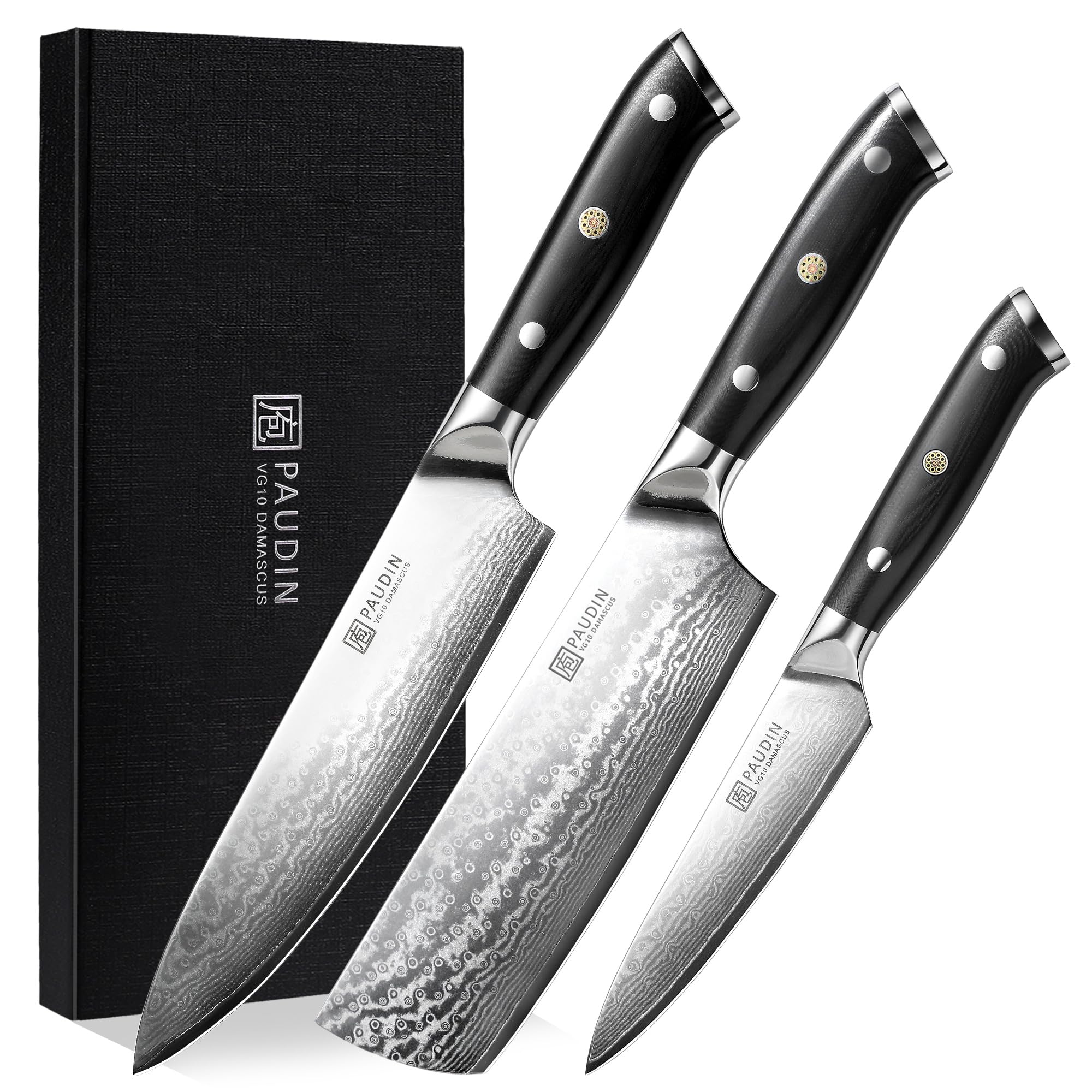 Paudin Set Coltelli Damasco VG10 con Manico Ergonomico