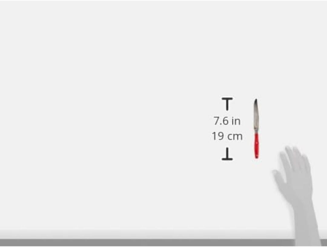 Amefa Comptoir Servizio Posate 24 Pezzi, Manico Rosso - immagine 7
