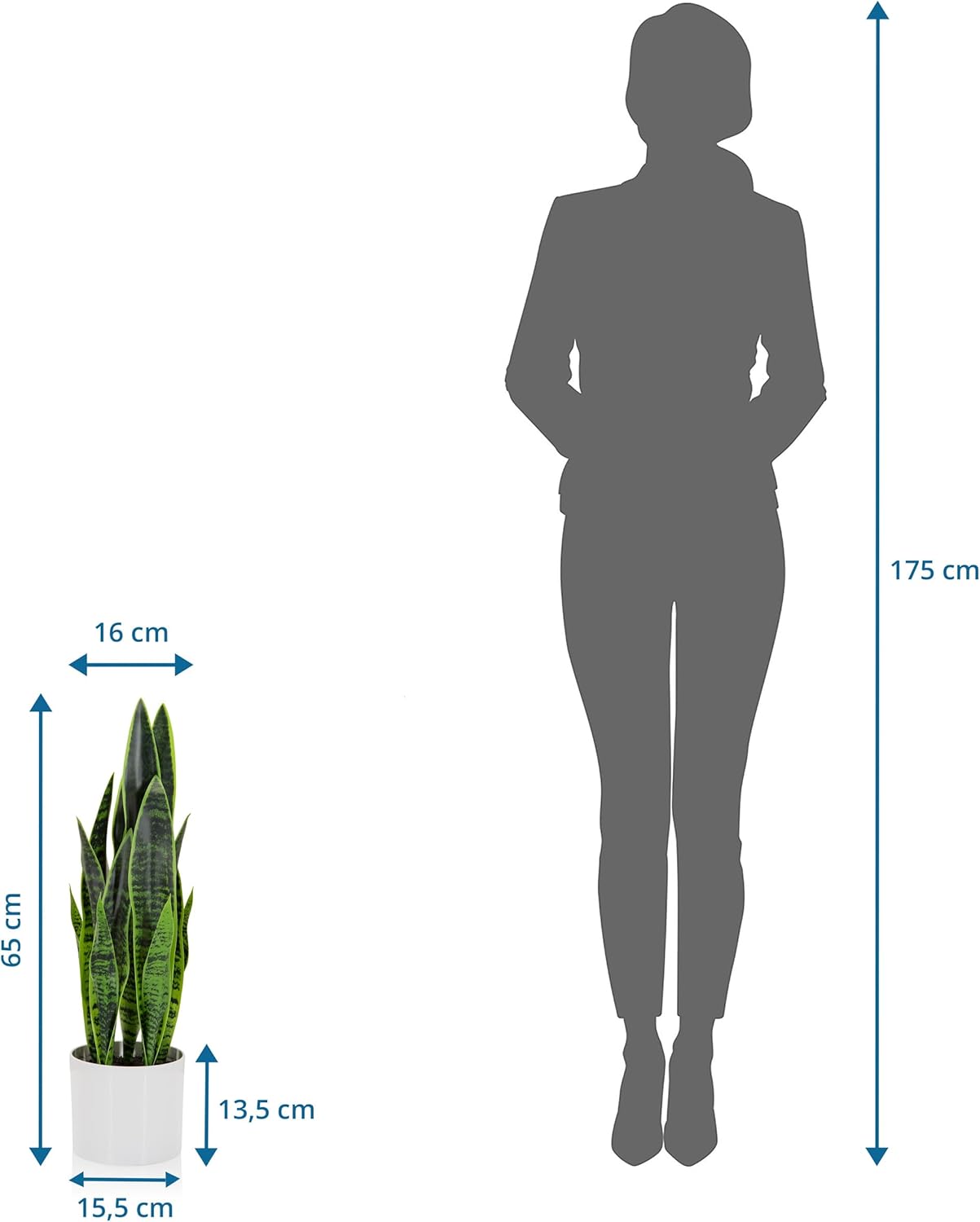 Hjh Office Pianta Artificiale SANSEVIERIA 65cm - immagine 6