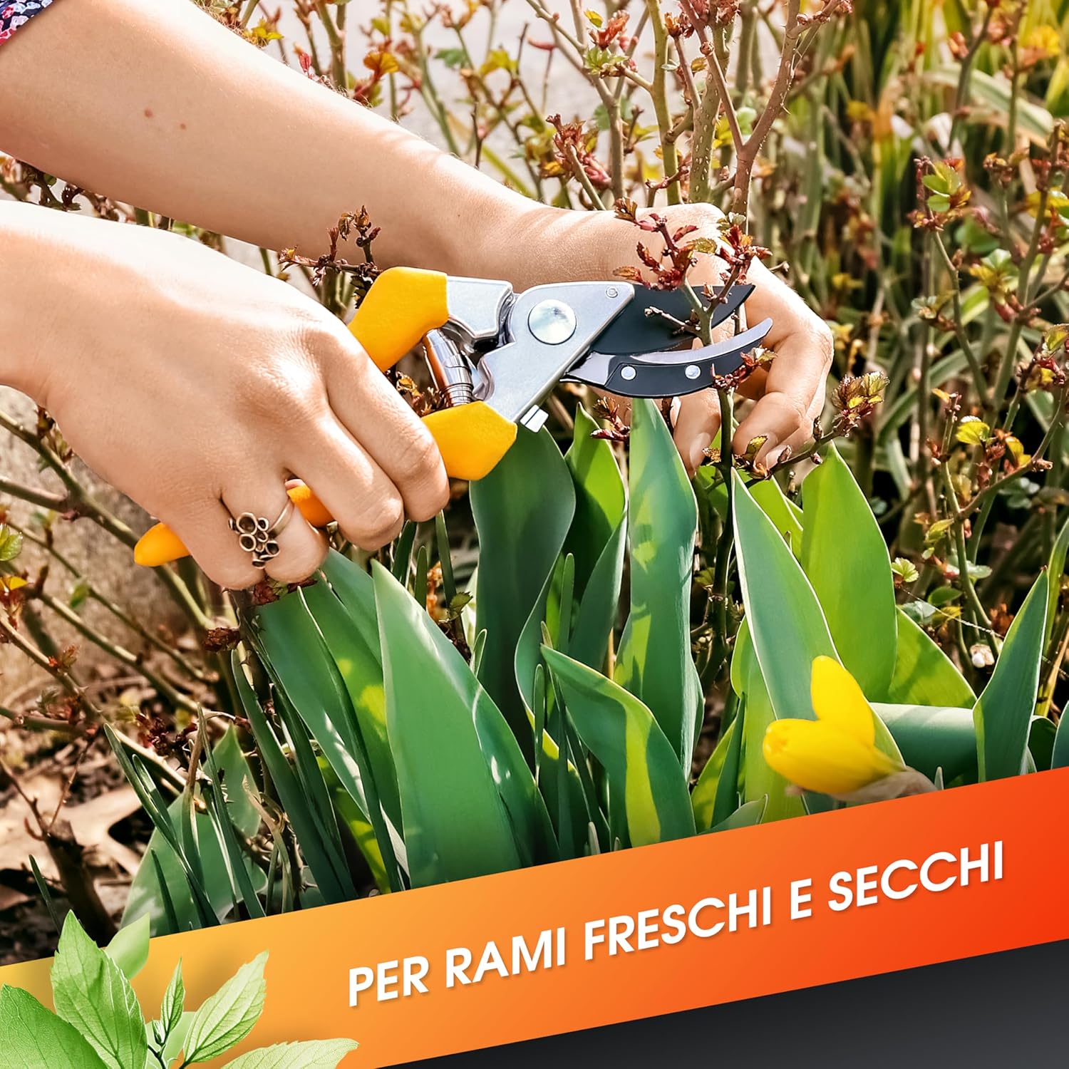 Grüntek Forbici da Giardino Professionali 21cm, Giallo - immagine 4