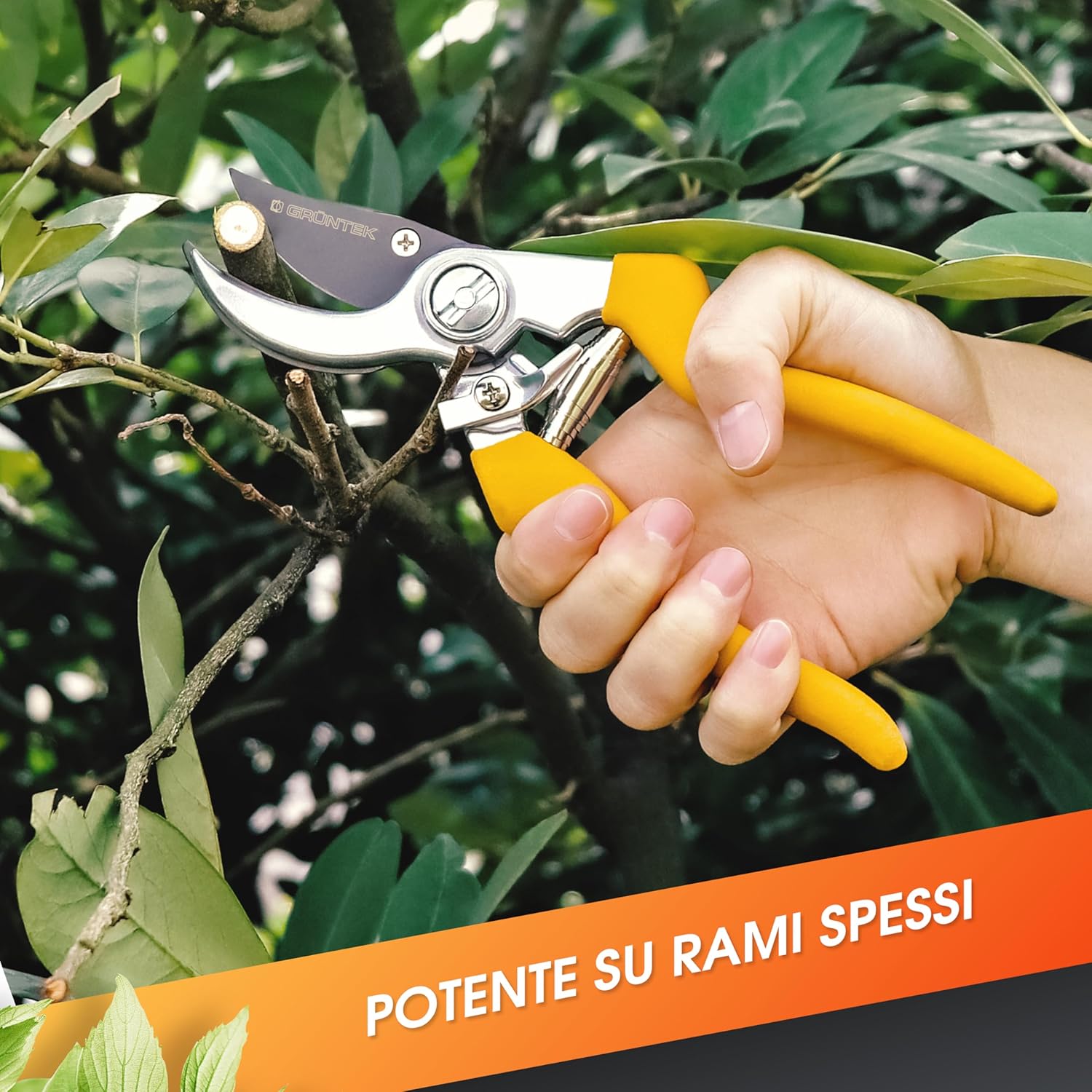 Grüntek Forbici da Giardino Professionali 21cm, Giallo - immagine 5