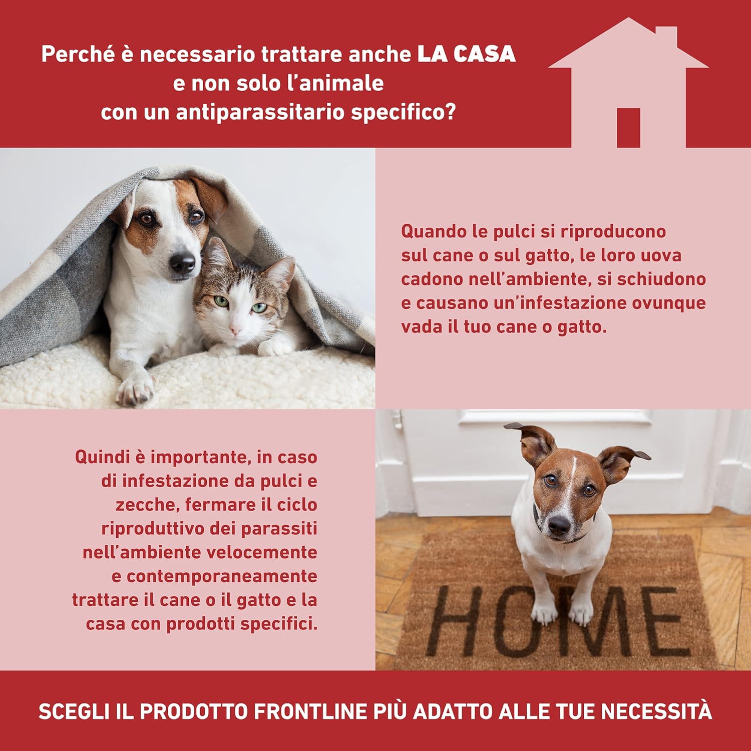 Frontline Homegard Spray Insetticida Antipulci 250ml - immagine 6