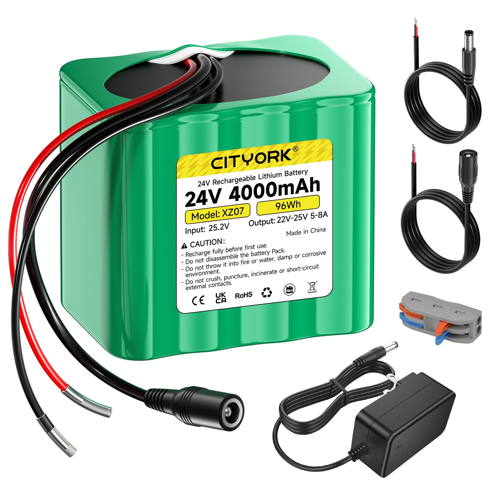 Cityork Batteria Litio 24V 4000mAh con Caricatore