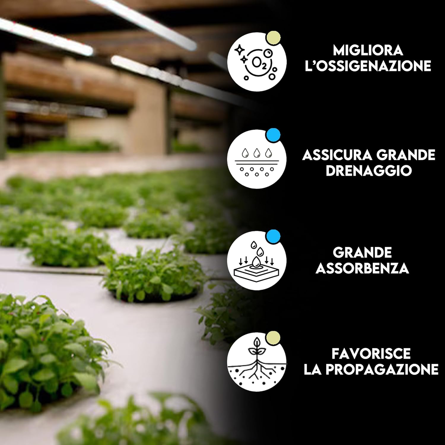 ZOMA Lana di Roccia per Piante 2L - immagine 3