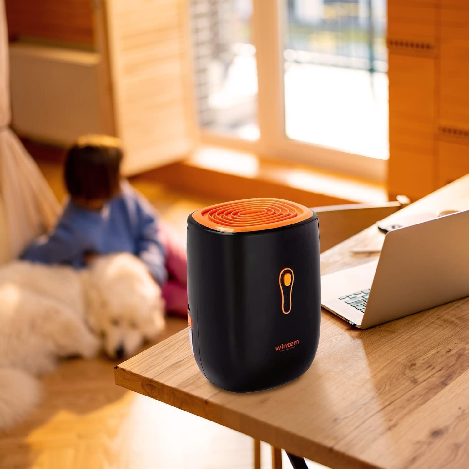 Deumidificatore Silenzioso e Portatile 750ml - immagine 5