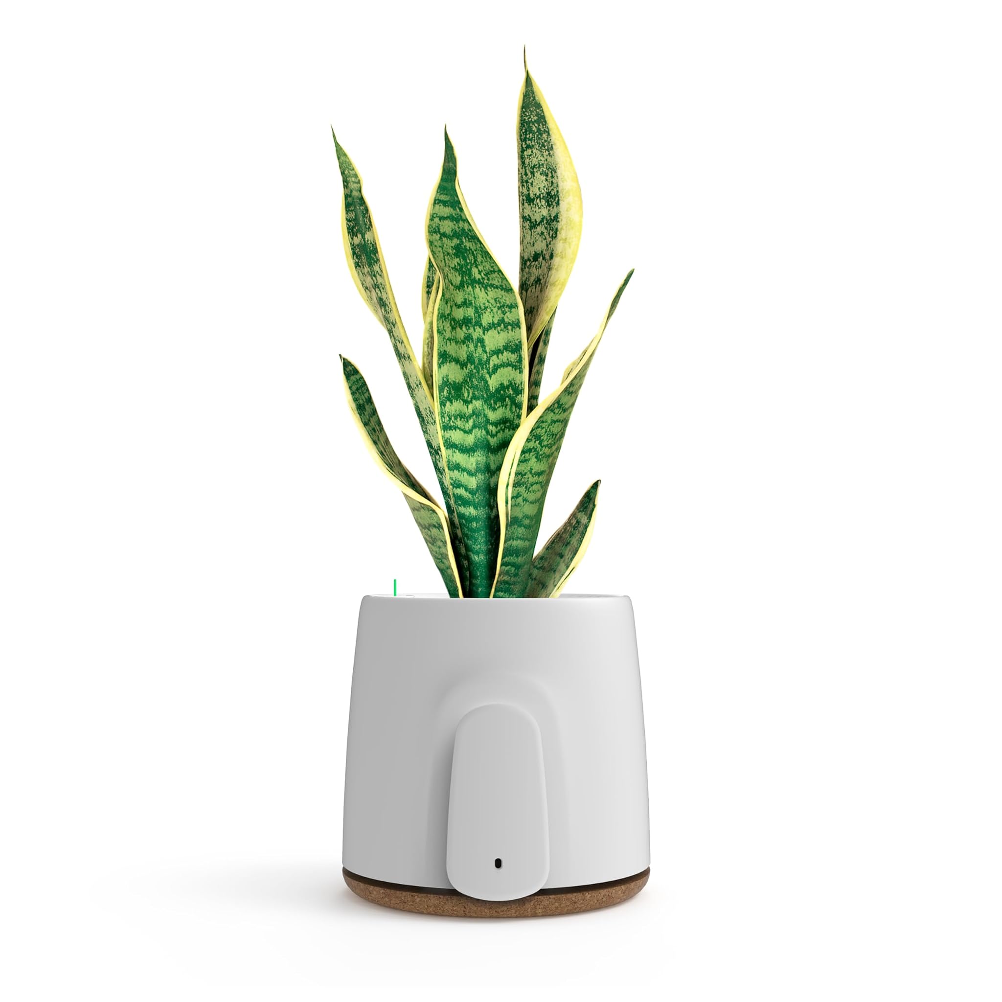 Vitesy NATEDE BASIC - Purificatore Aria Senza Filtri