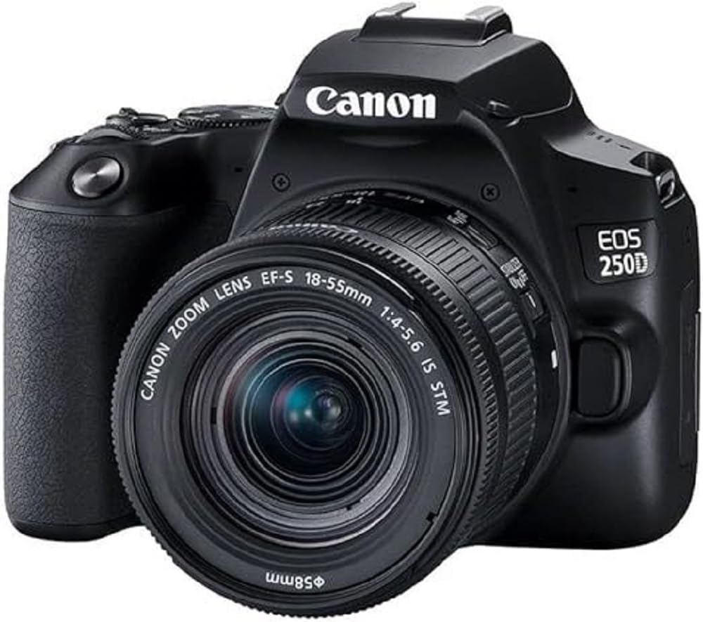 Canon EOS 250D + EF-S 18-55mm f/4-5.6 IS STM Kit SLR