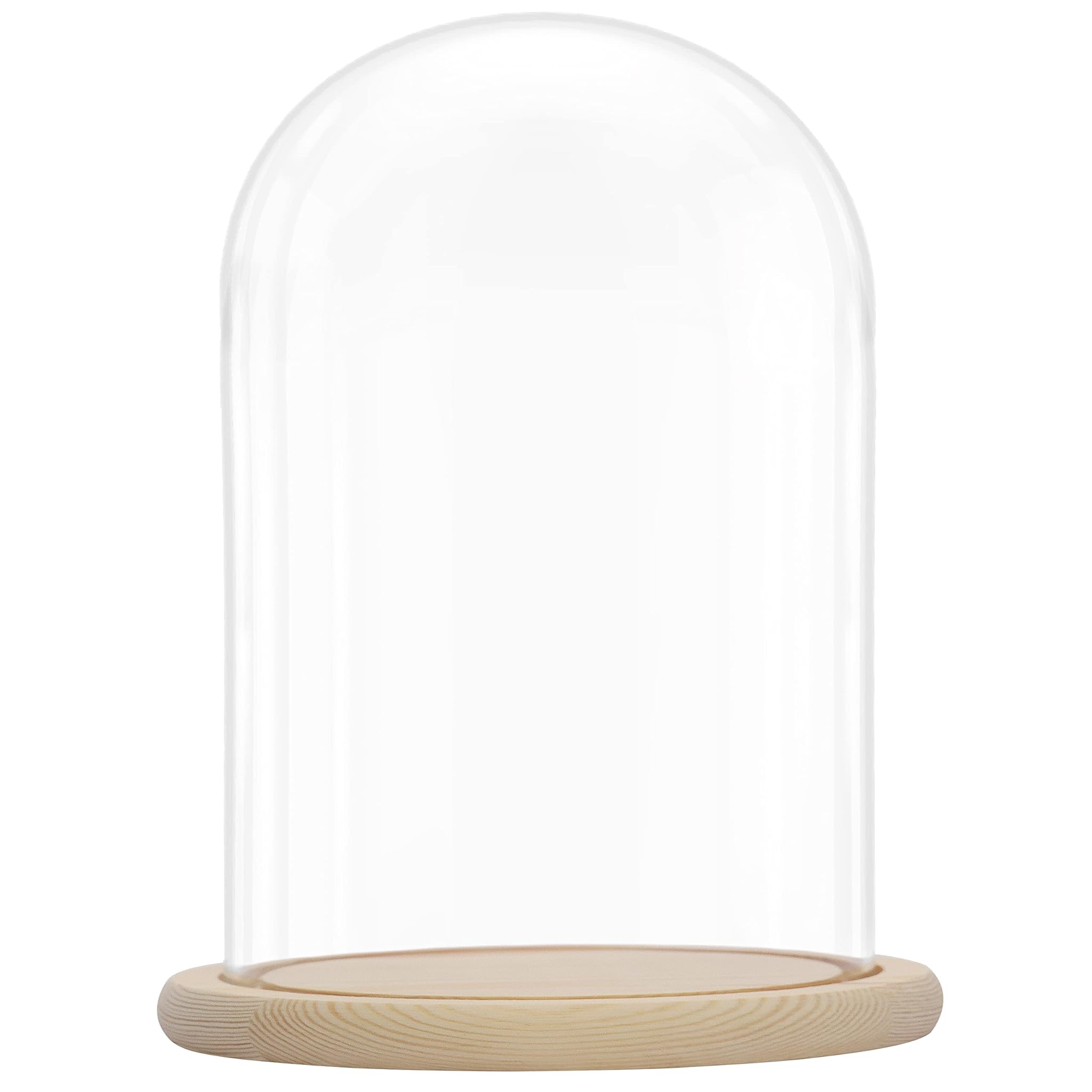 BELLE VOUS Campana di Vetro con Base in Legno - 31,5 cm