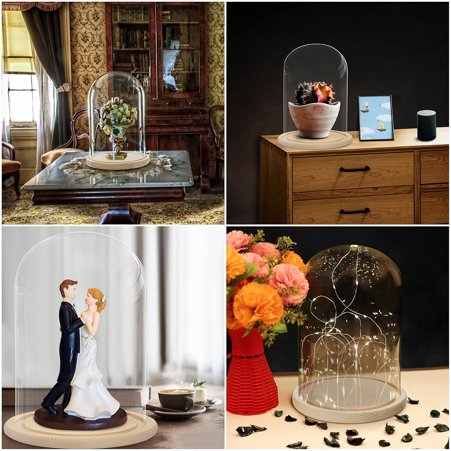 BELLE VOUS Campana di Vetro con Base in Legno - 31,5 cm - immagine 6