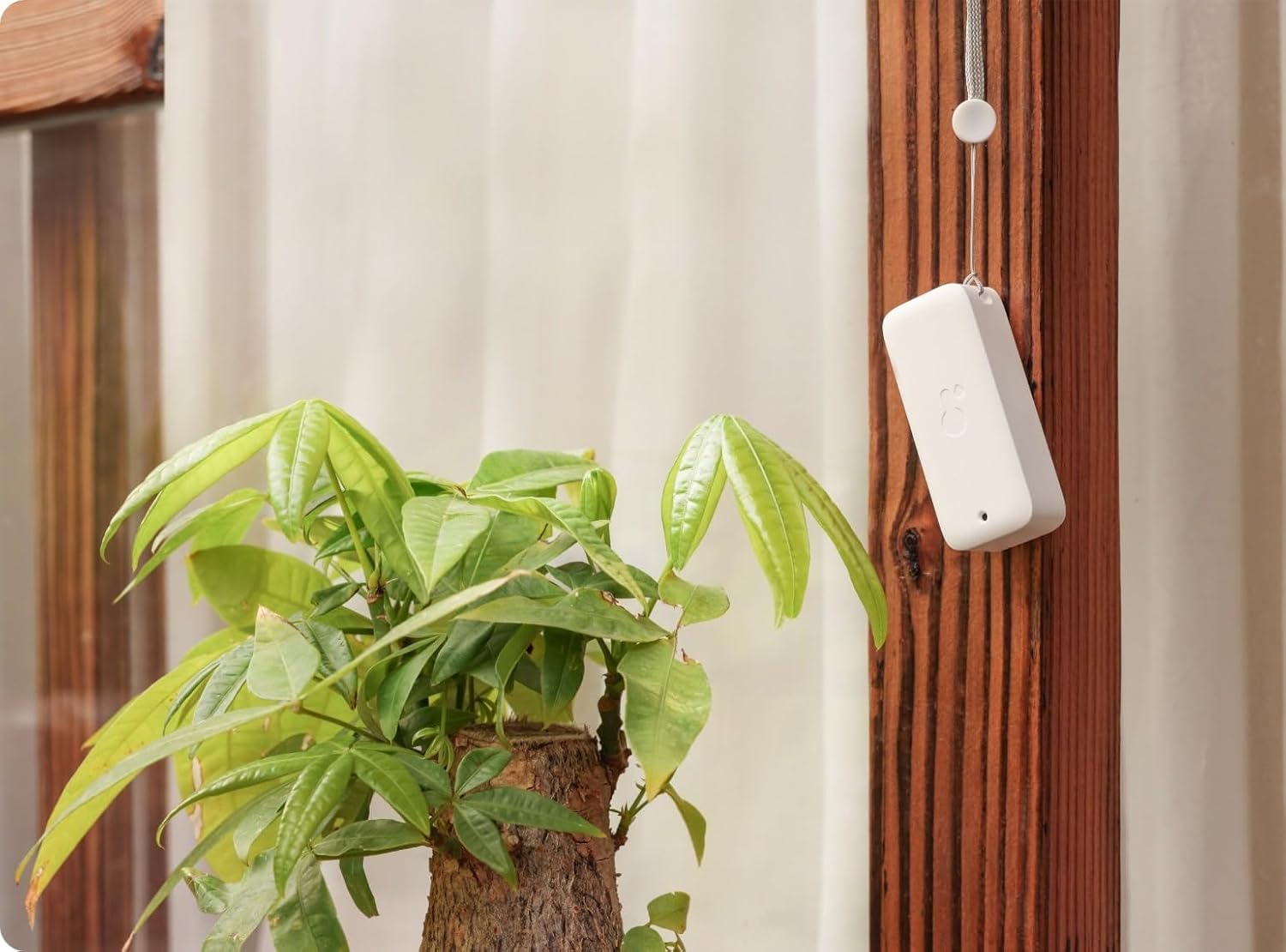 SwitchBot Smart Bundle - Confezione da 3 termoigrometro & Hub Mini - immagine 5