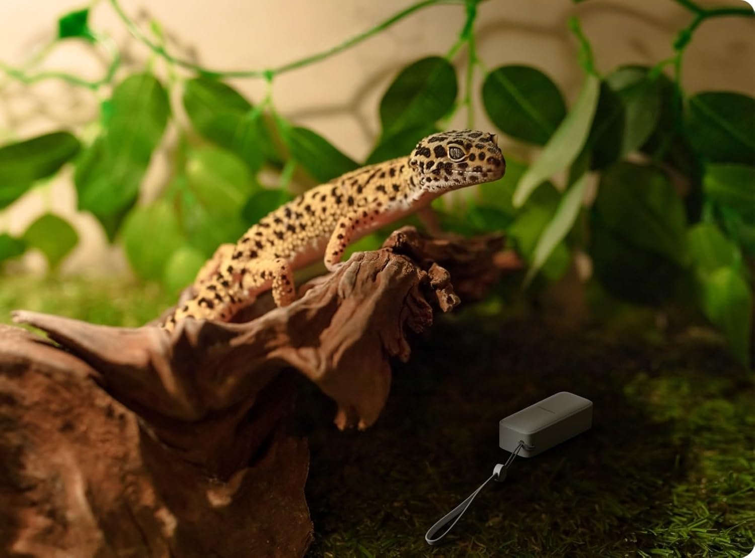 SwitchBot Smart Bundle - Confezione da 3 termoigrometro & Hub Mini - immagine 6