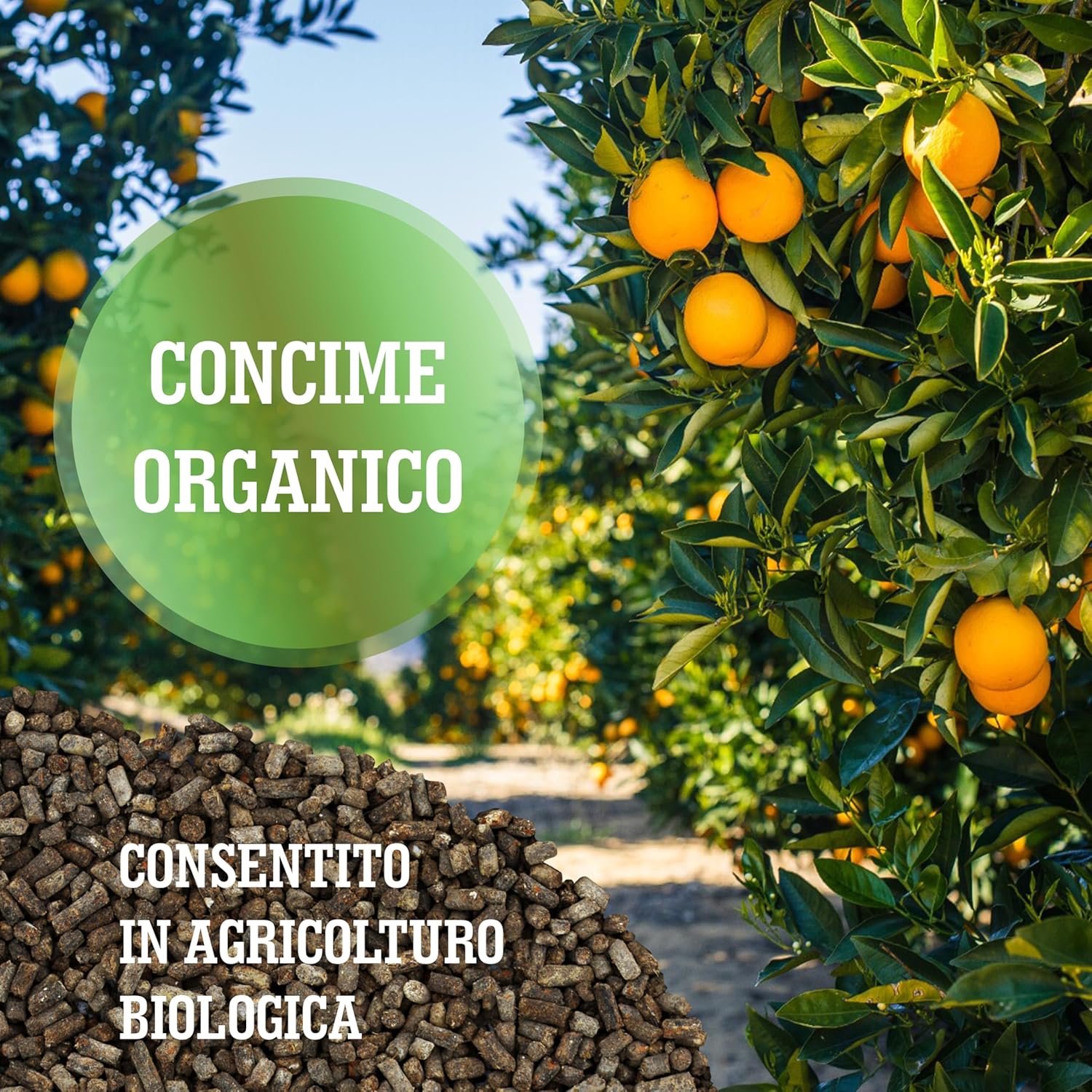 Lerava® Concime Organico per Agrumi 800g - immagine 2