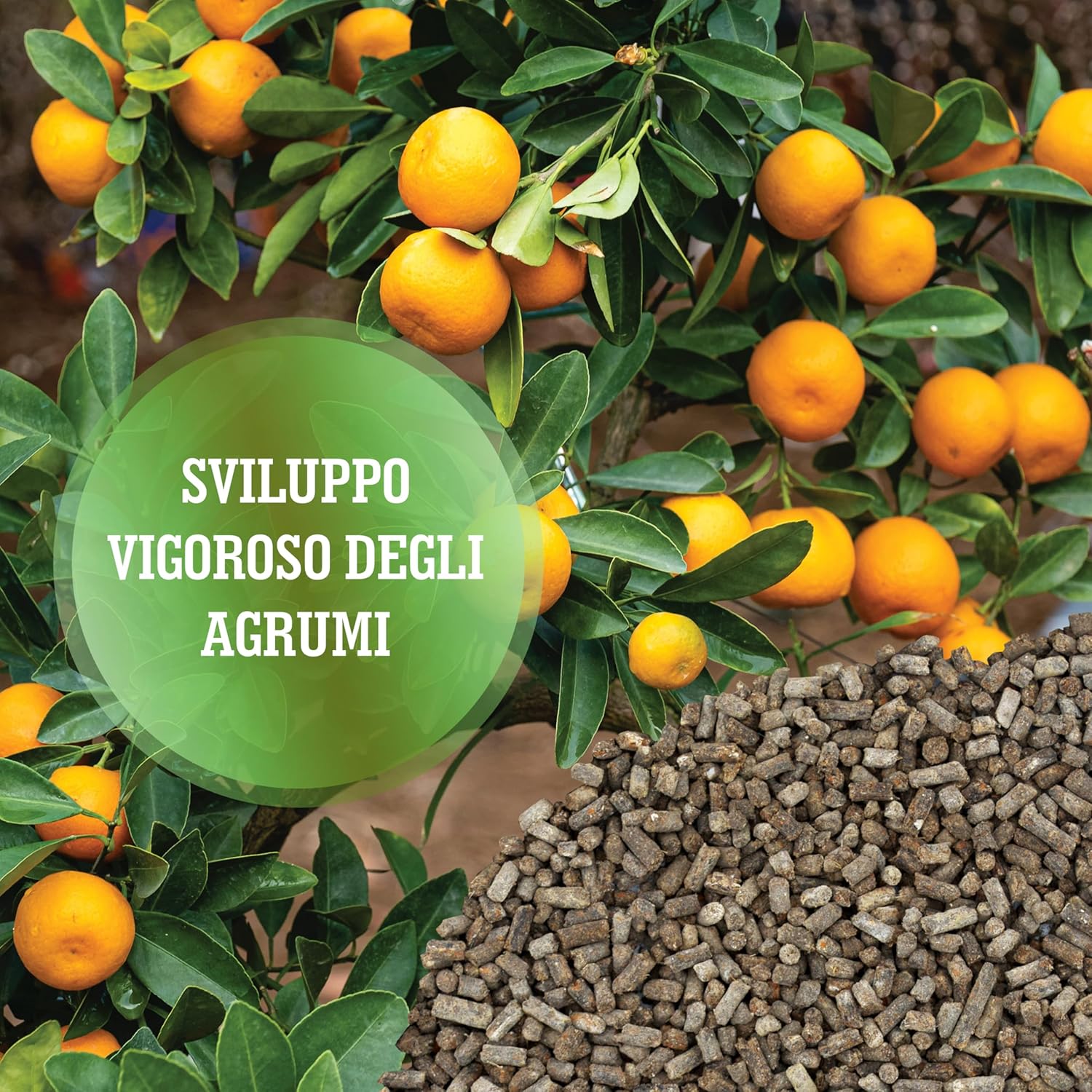 Lerava® Concime Organico per Agrumi 800g - immagine 3