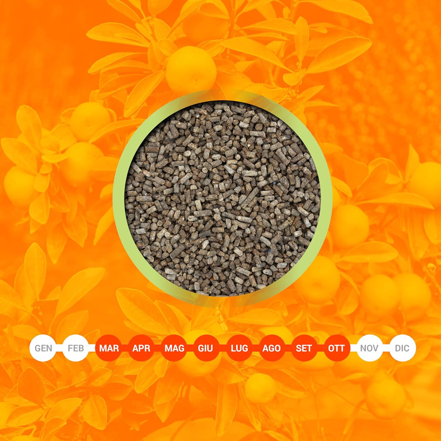 Lerava® Concime Organico per Agrumi 800g - immagine 5