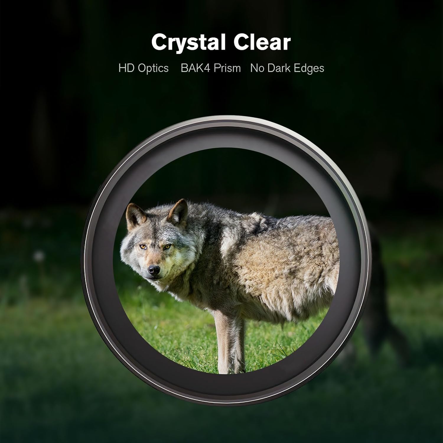 Flintronic Mini Binocolo 40x22 HD, Impermeabile - immagine 6