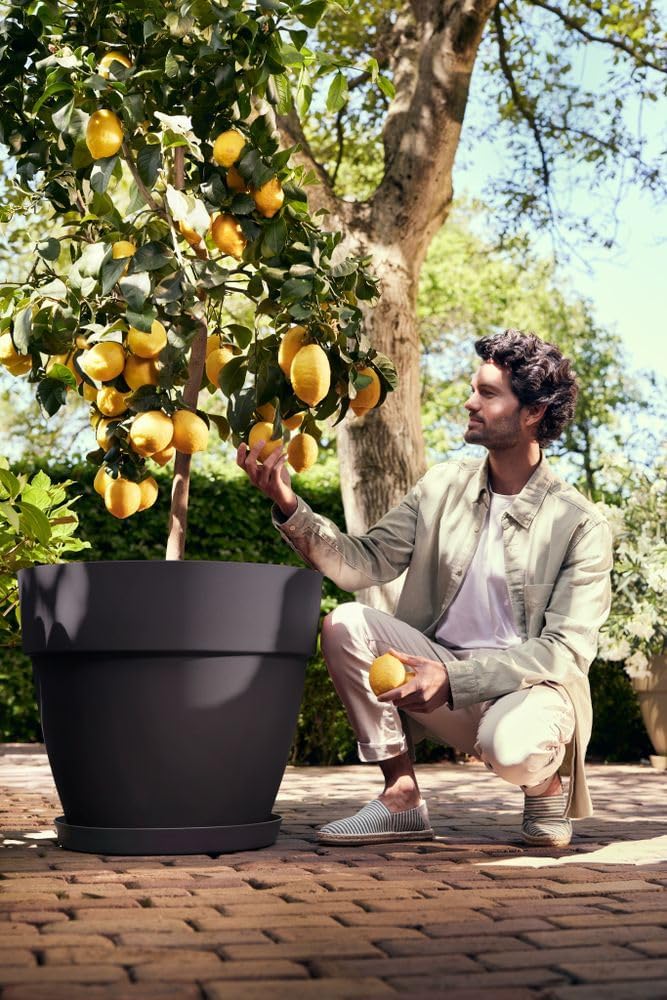 elho Vibia Campana Round 65 - Vaso - Nero - Esterno - Ø 65 x H 56 cm - immagine 6