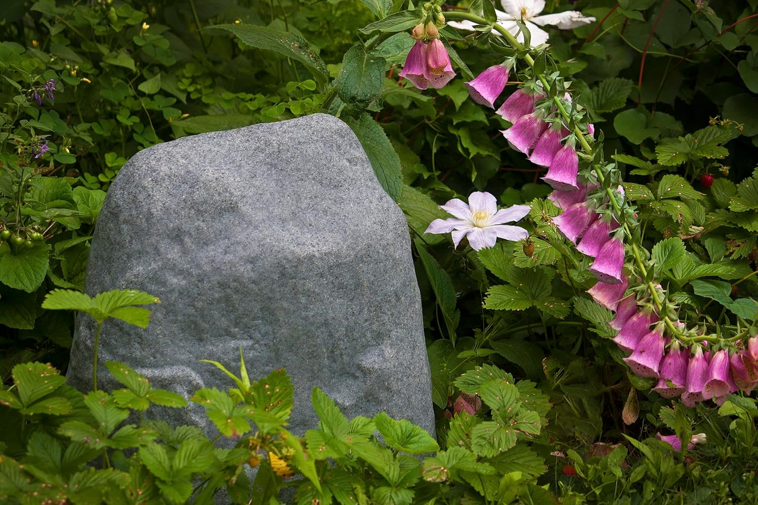 Emsco Group Landscape Rock - immagine 3