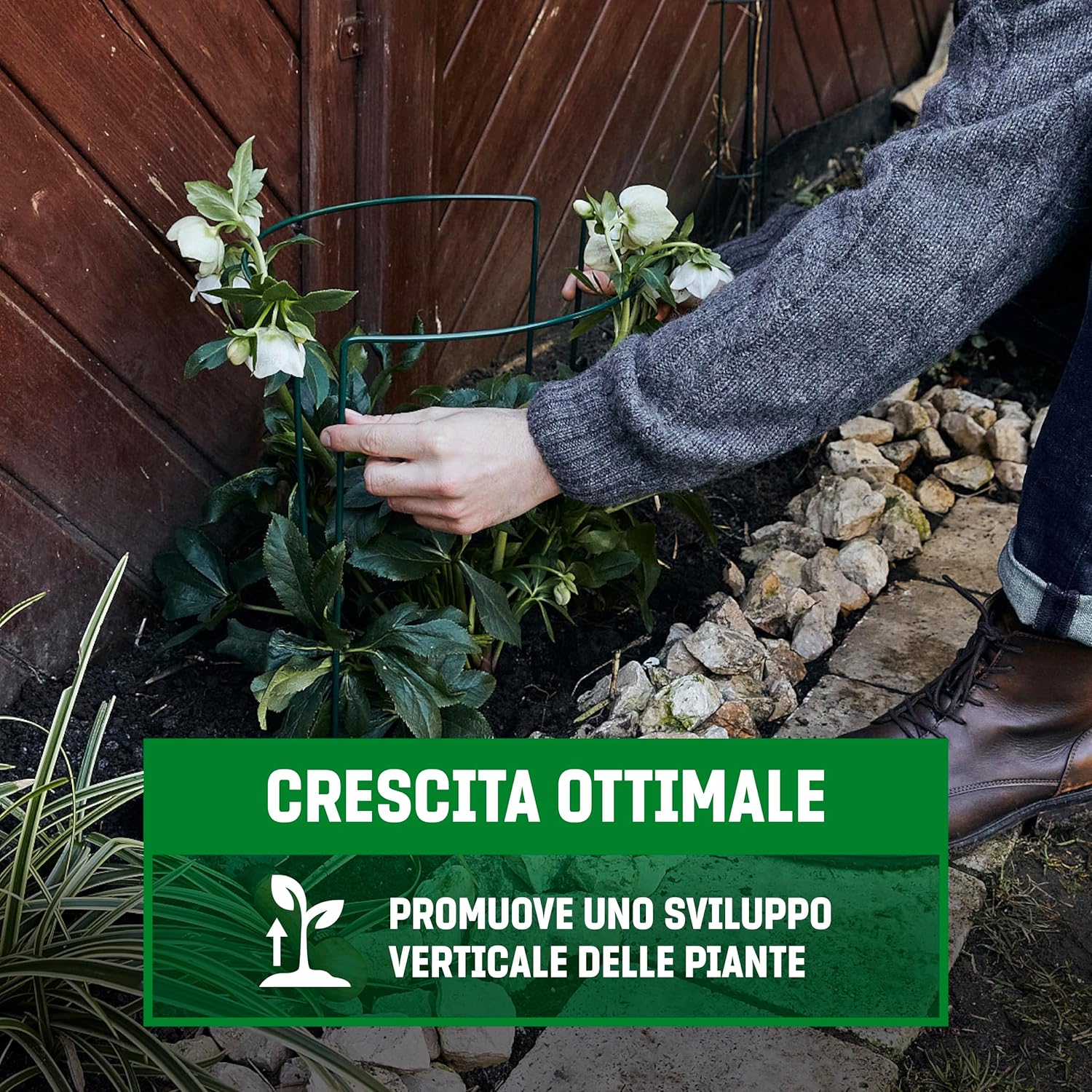 Gardengloss® Supporti per Arbusti 70x40cm (10 Pezzi) - immagine 5