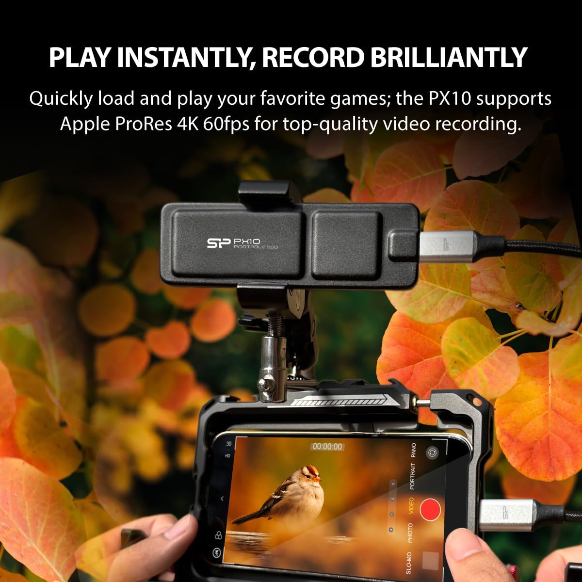 Silicon Power PX10 - SSD portatile USB-C 3.2 Gen 2x2, 4 TB, colore: Nero - immagine 5