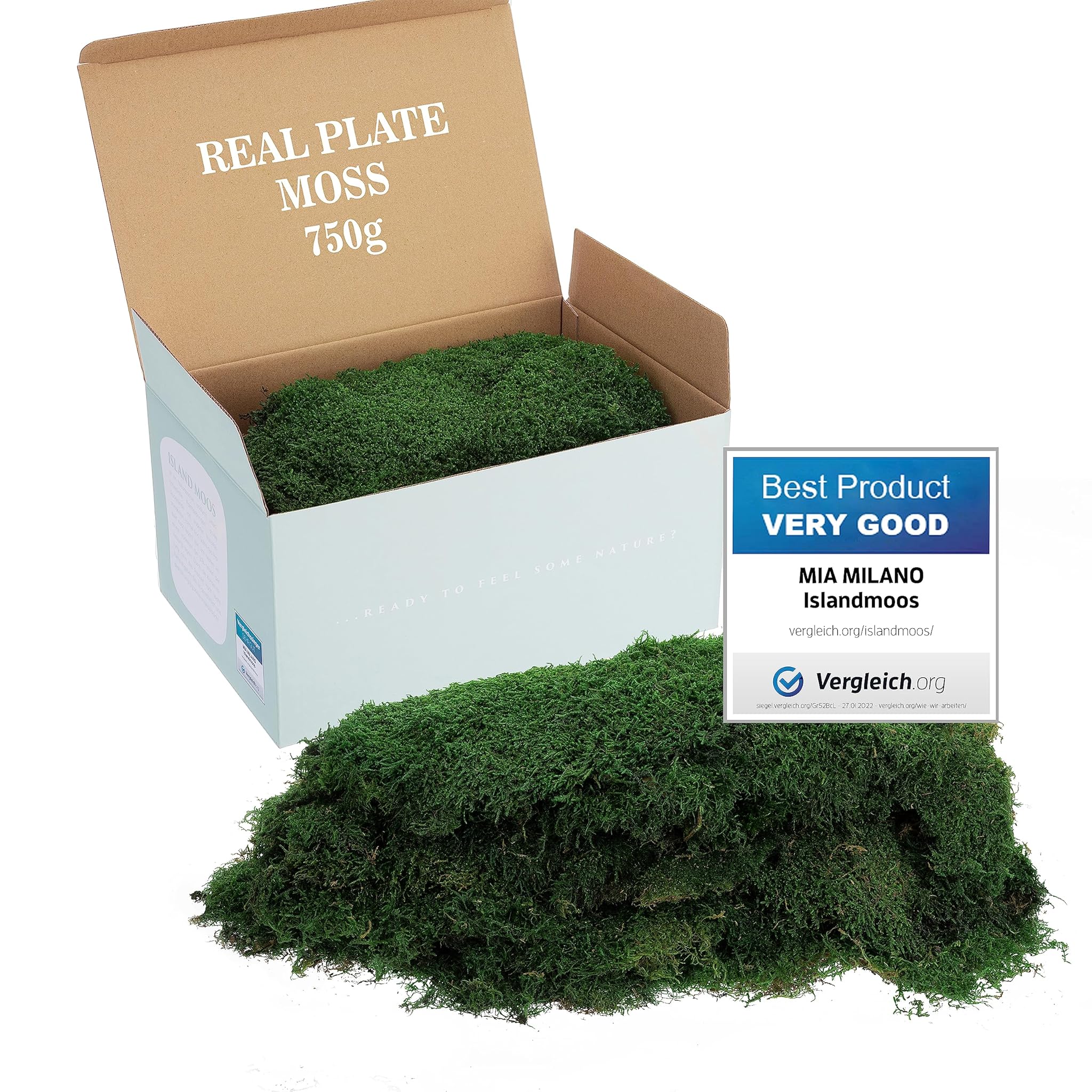 Mia Milano Foglio di Muschio Conservato per Artigianato