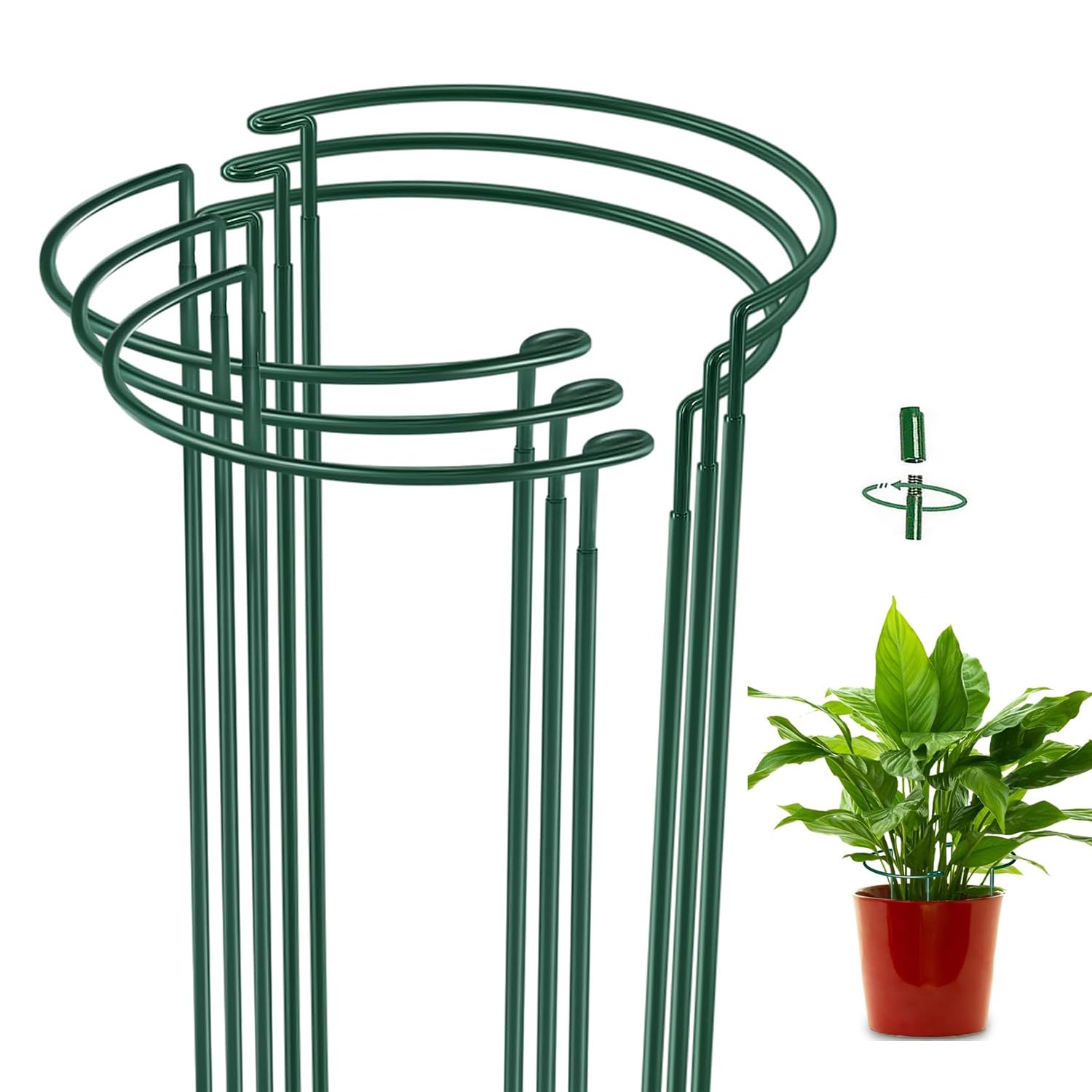 Supporto per Piante Semicircolare 40x25cm (6 Pezzi)