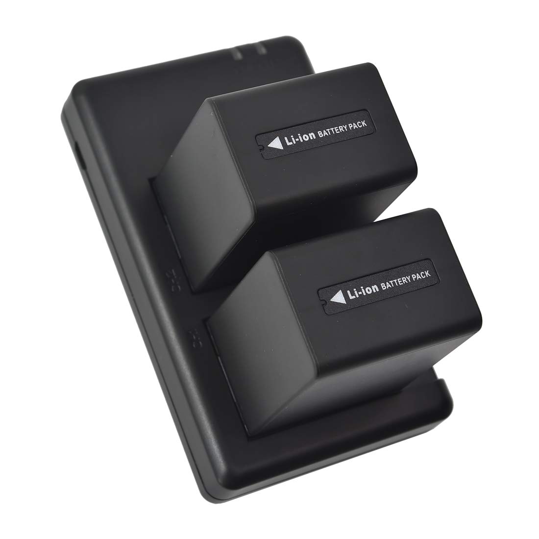 Dste Set 2 Batterie NP-FV100 + Doppio Caricatore USB