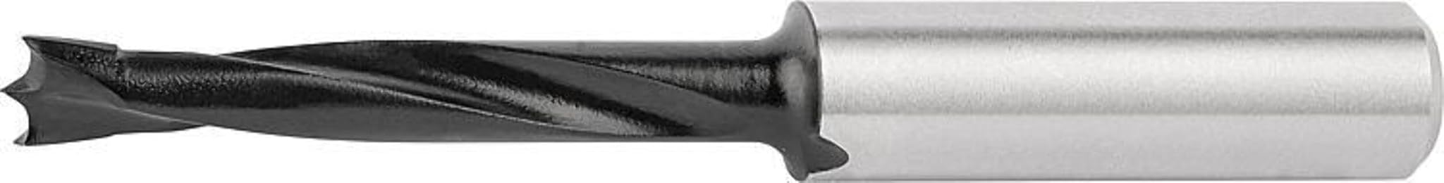 Festool Punta per tasselli HW S8 D5/30 Z