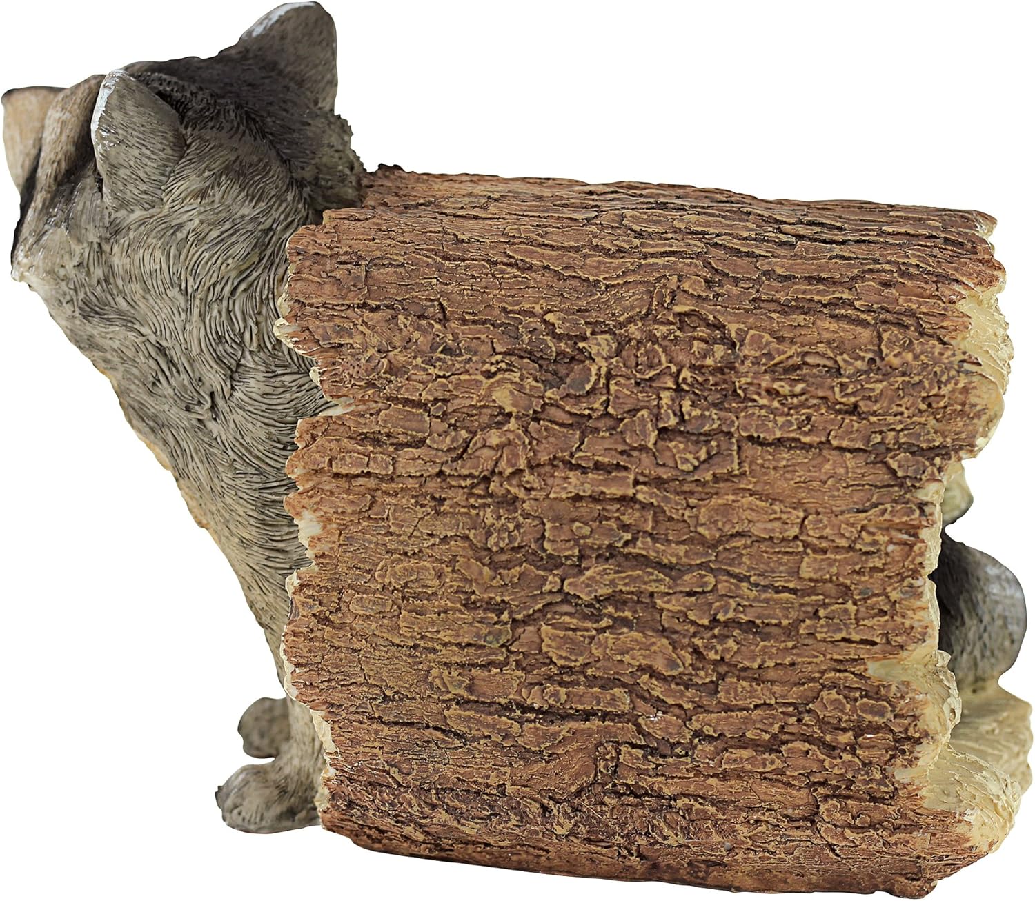 Design Toscano Bandit il procione - Statua da giardino - immagine 3