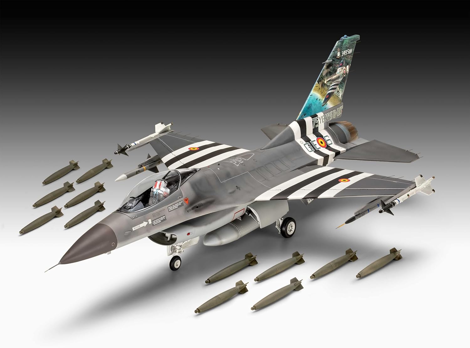 F-16 Falcon 50° Anniversario - immagine 3