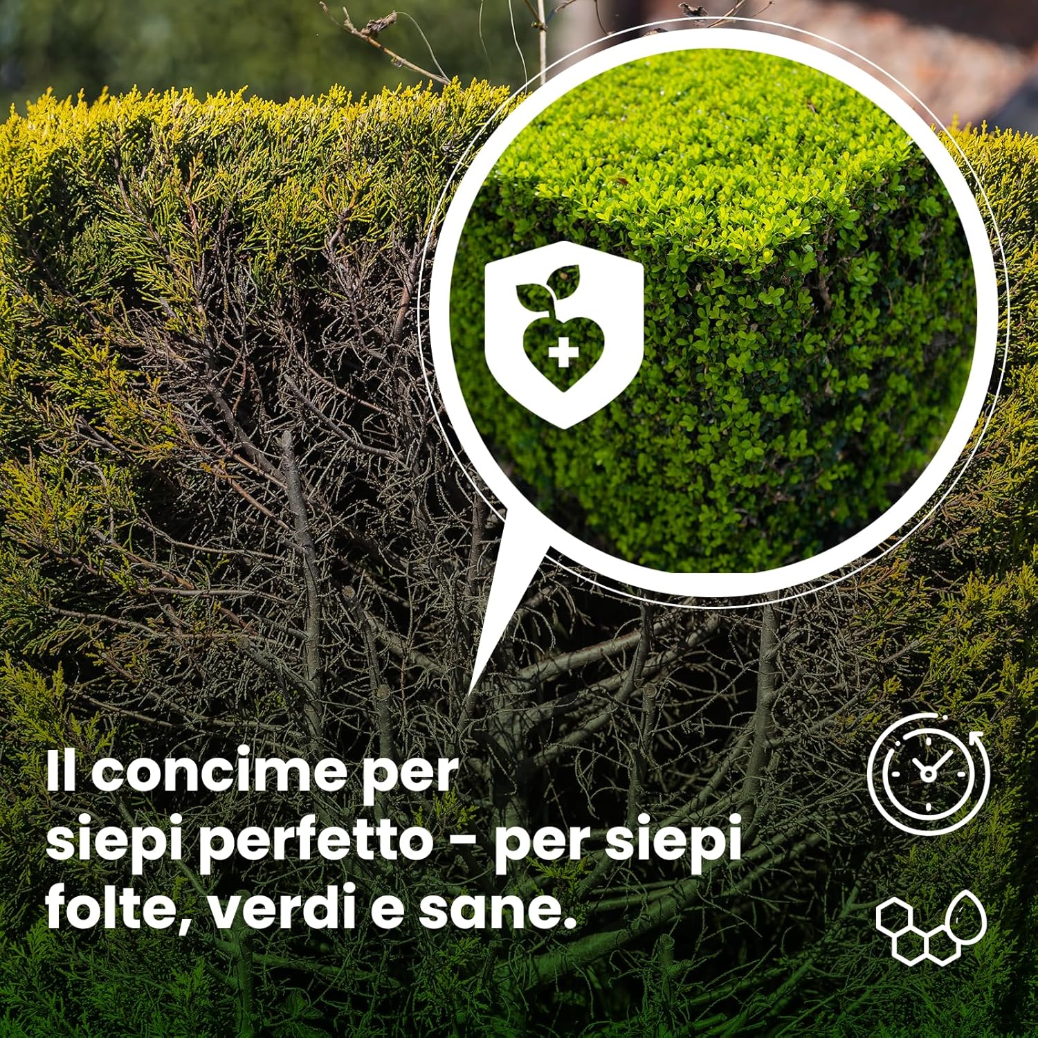 Lerava® Concime per Siepe 1.7kg - immagine 2