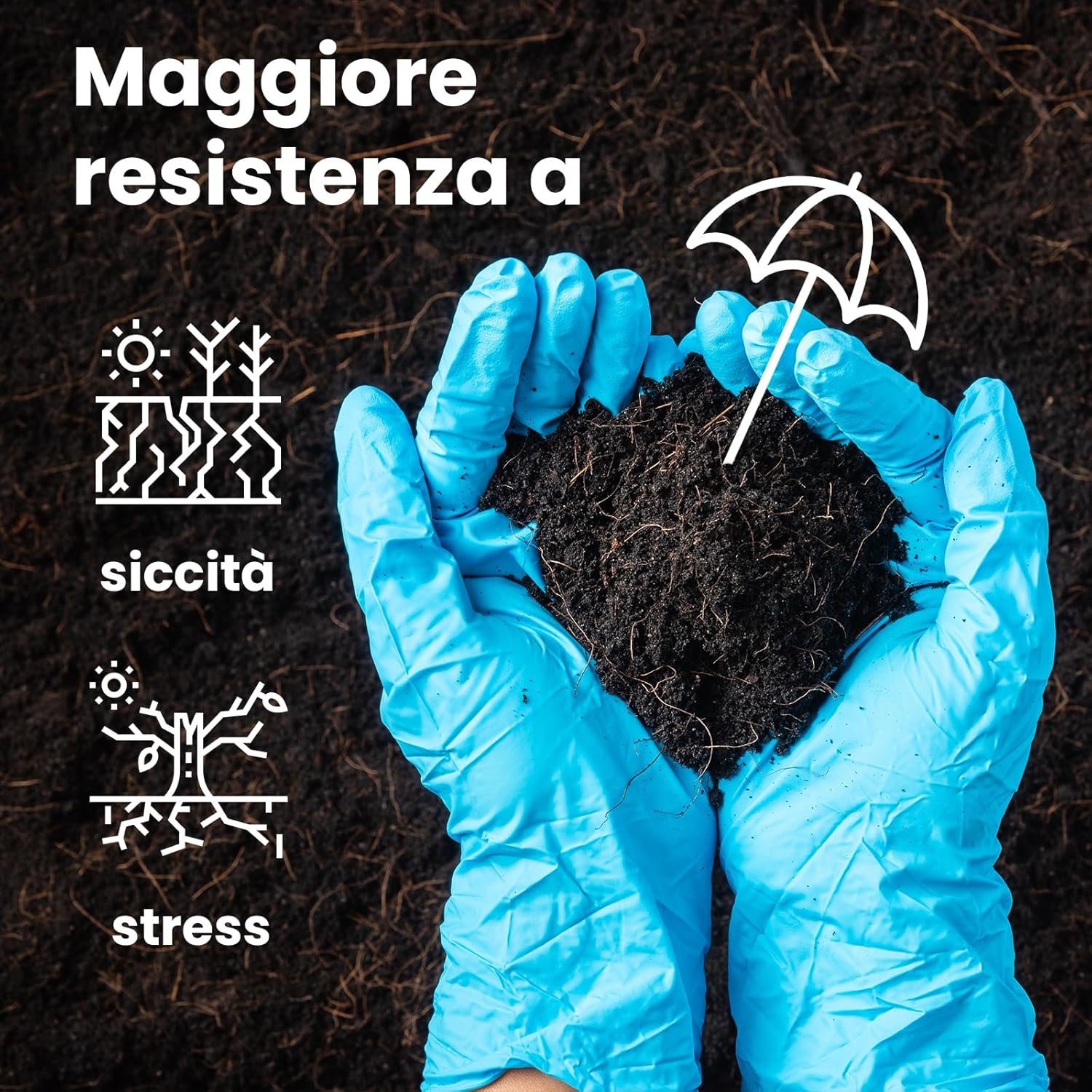 Lerava® Concime per Siepe 1.7kg - immagine 3