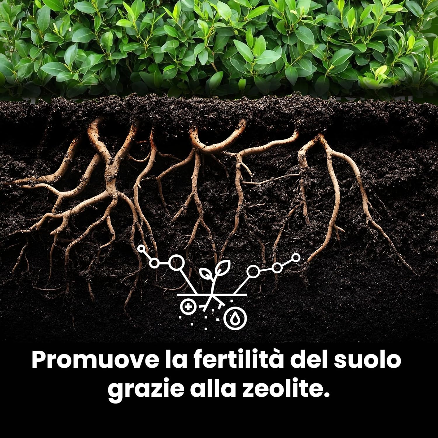 Lerava® Concime per Siepe 1.7kg - immagine 5