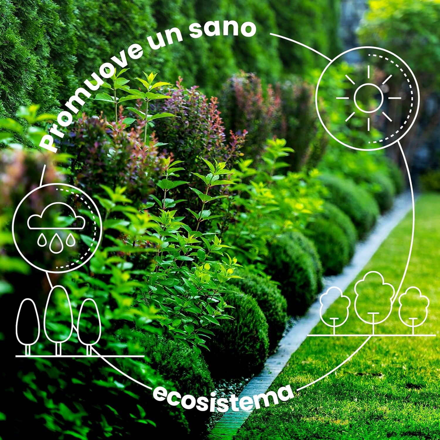 Lerava® Concime per Siepe 1.7kg - immagine 6