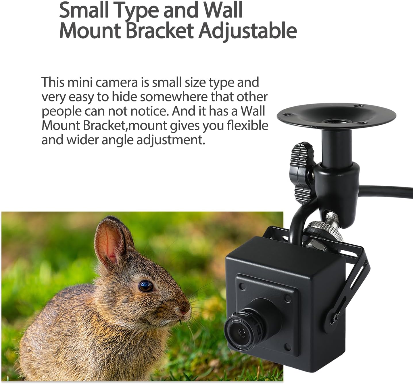 Revodata Mini POE IP Camera 5MP per Interni - immagine 3