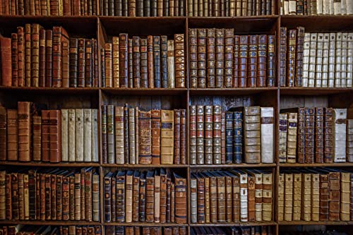 Renaiss Sfondo Fotografico Libreria in Legno 3x2m