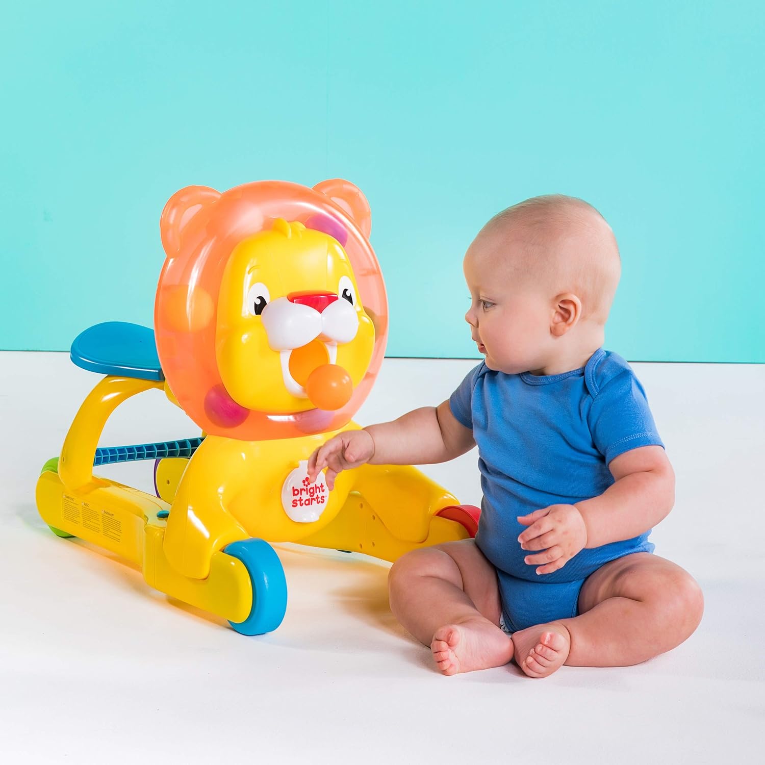 Jezdzik-pchacz Lew - immagine 2