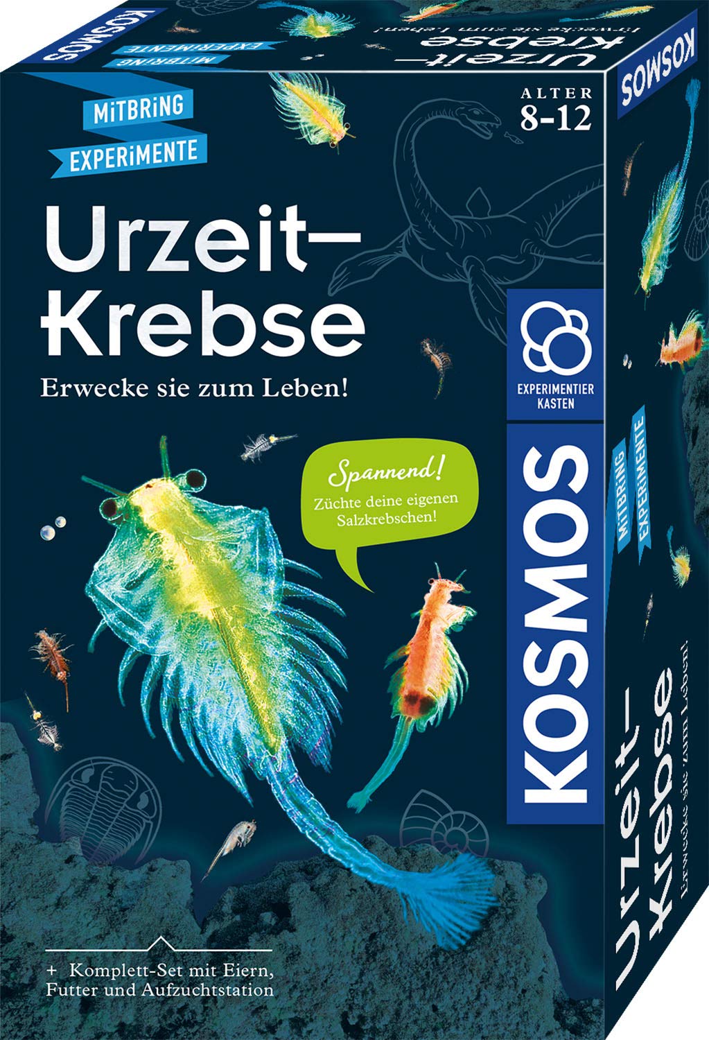 Kosmos 657871 - Set Completo per Principianti con Uova, Cibo, Vaso, pipetta, Altri Utensili