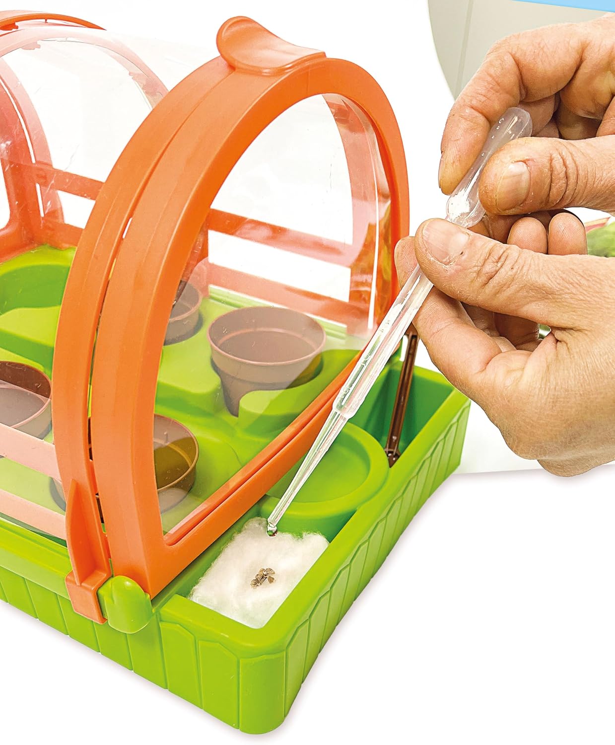 Clementoni Scienza e Gioco Lab - La Mia Serra, 7+ Anni - immagine 6