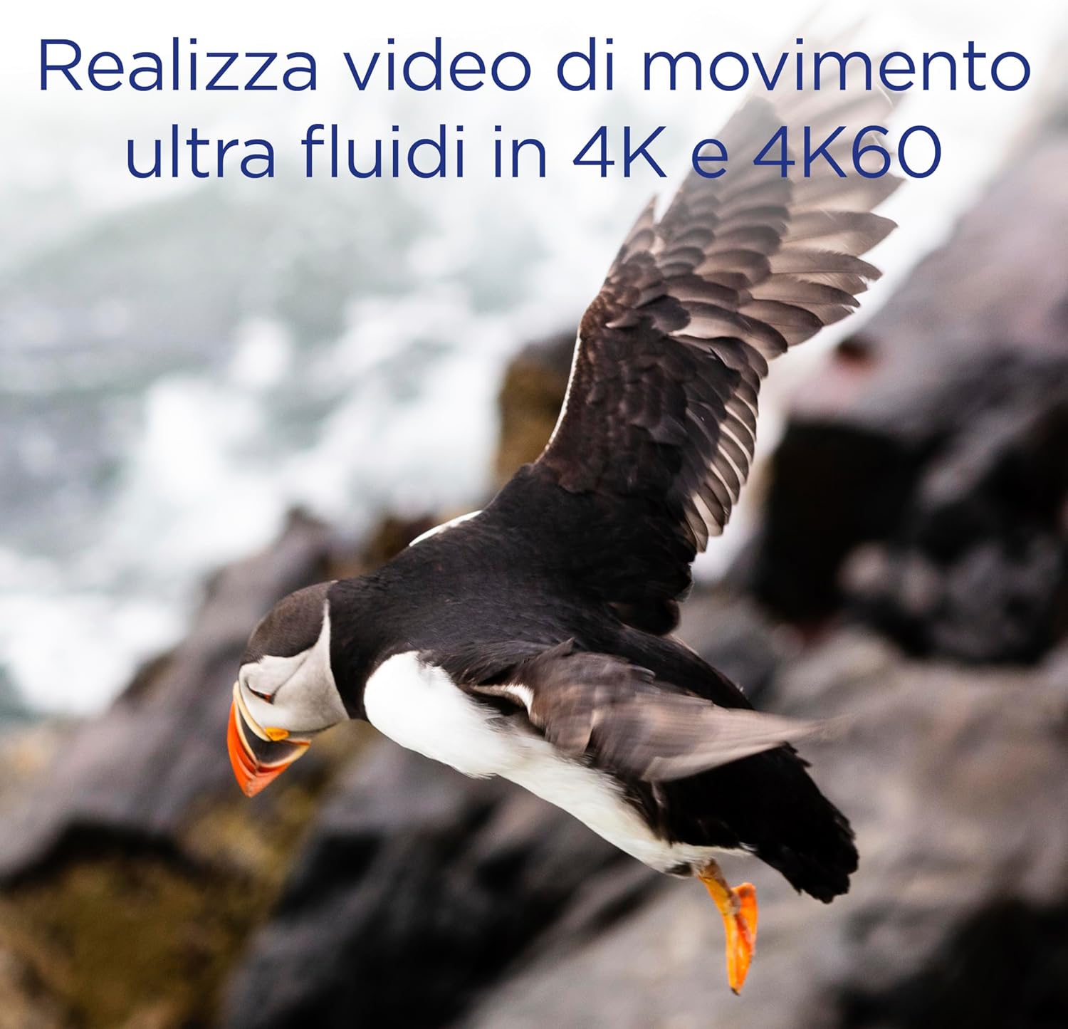 Integral Scheda CFast 2.0 da 512 GB - immagine 5