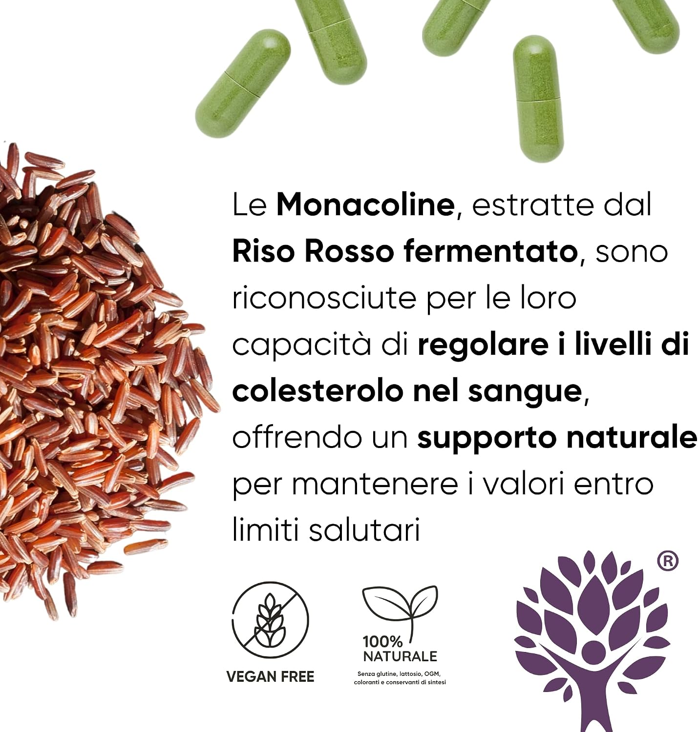 Redmoringa - NUOVA FORMULA Riso Rosso Fermentato e Moringa Bio con 3 mg ...