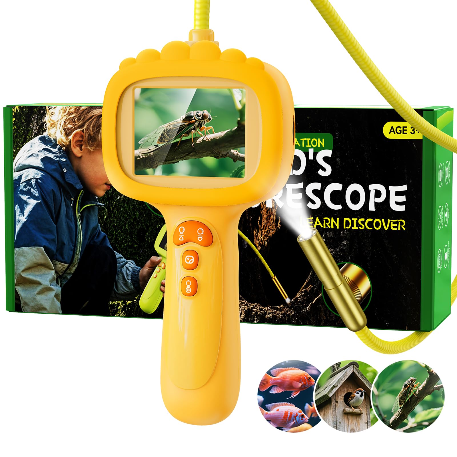 Giochi di esplorazione