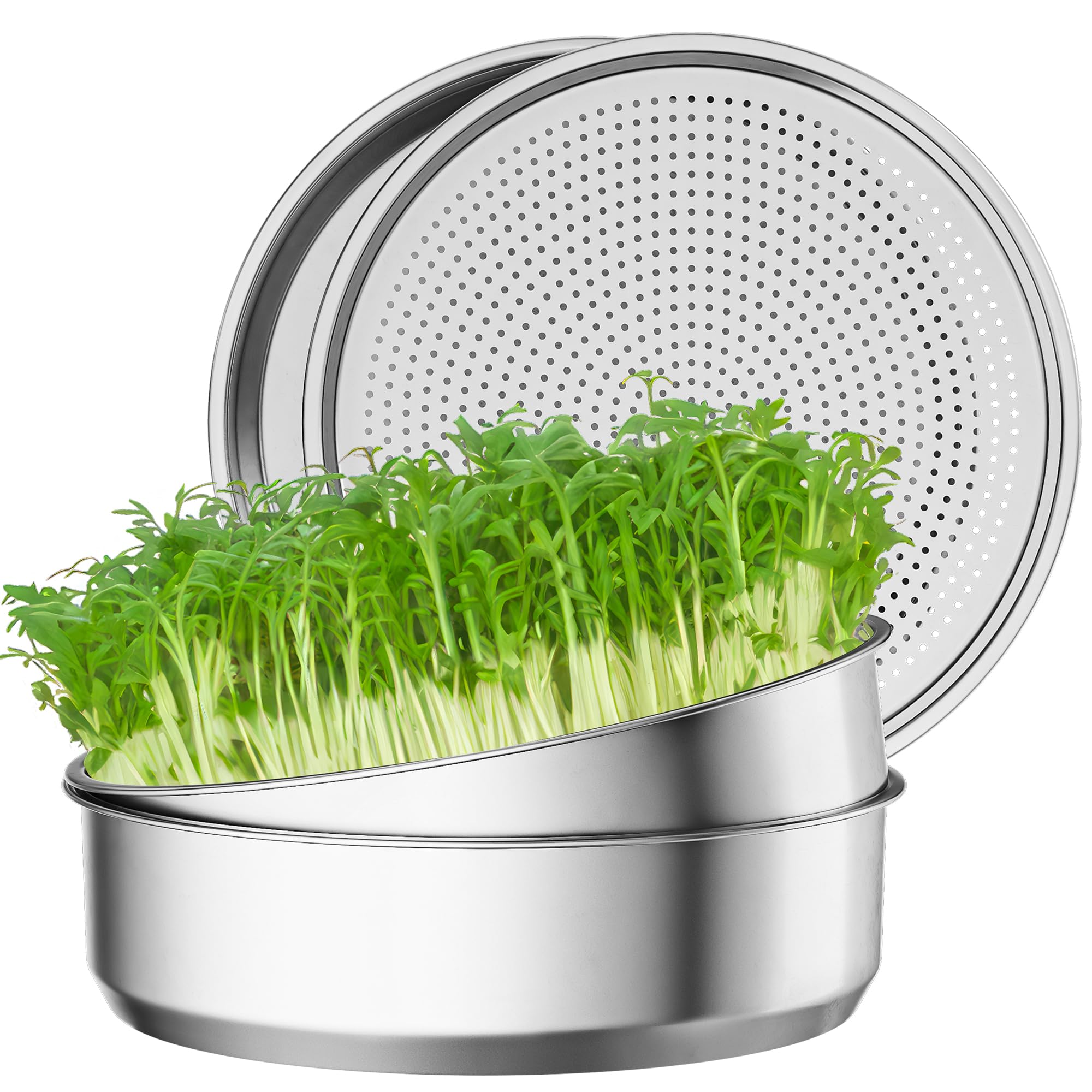 FANHAO Kit di Germinazione Semi in Acciaio Inossidabile