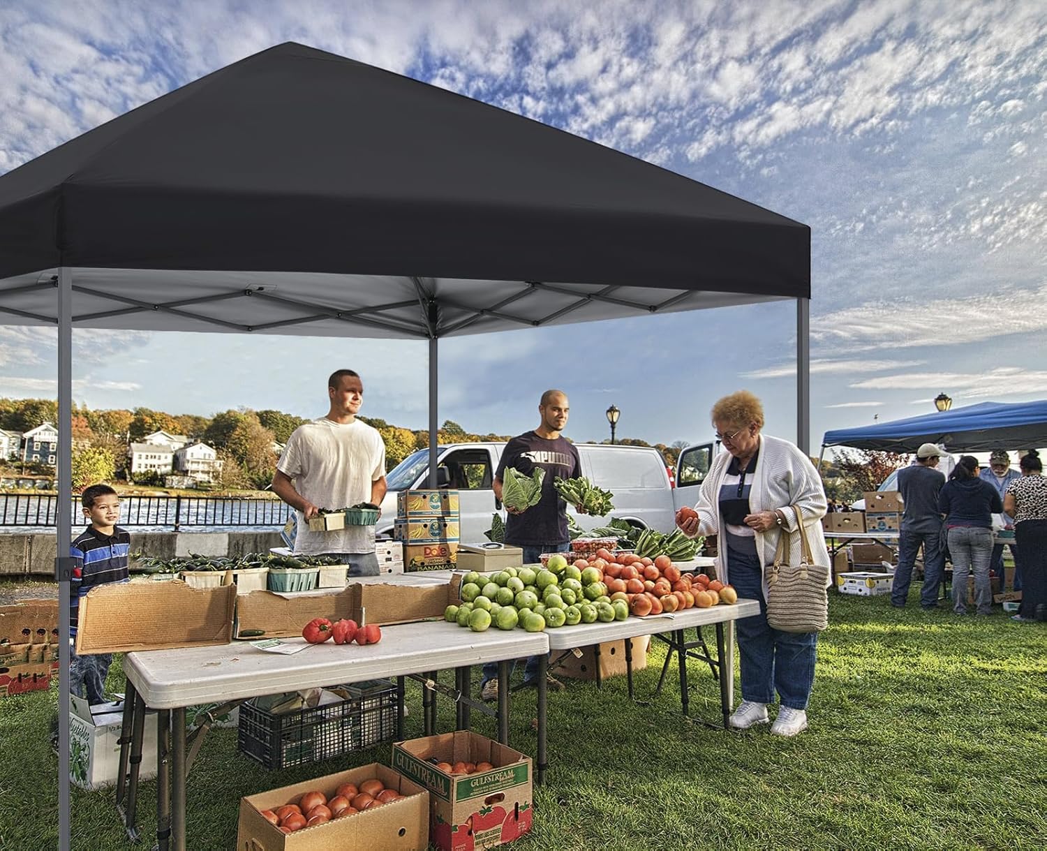 Abccanopy Tenda Parasole Gazebo 10x10 Facile Elevamento - immagine 2